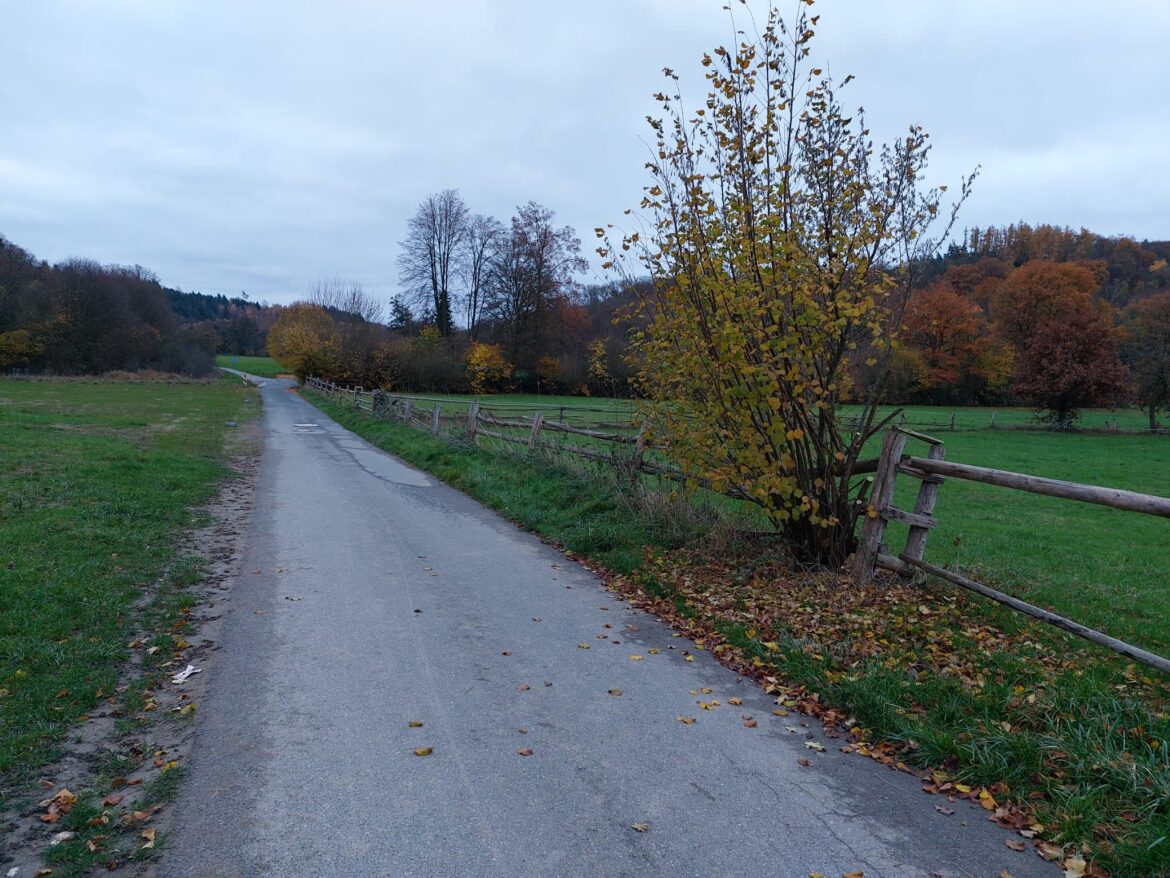 Neues von der Oberau